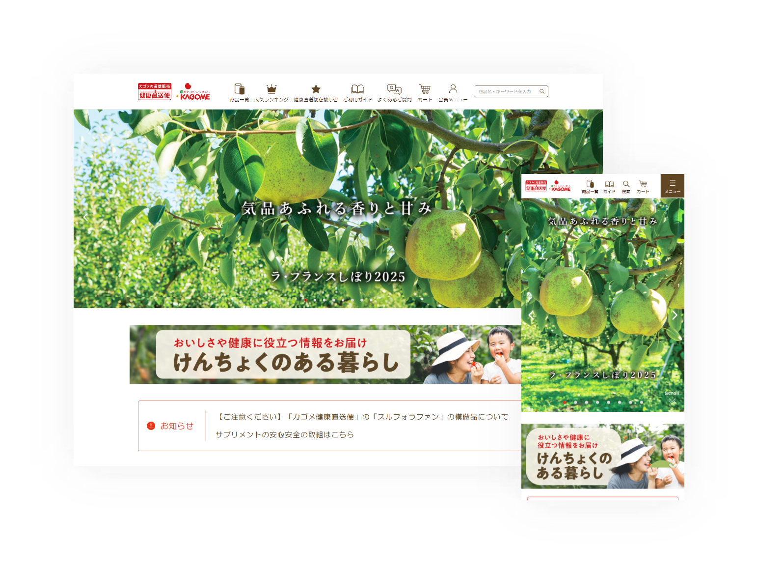 【カゴメの通販】カゴメ健康直送便